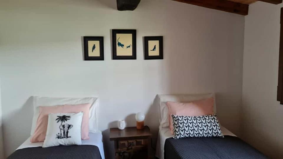 Casa Da Ti Adelia Villa Janeiro de Cima Екстериор снимка